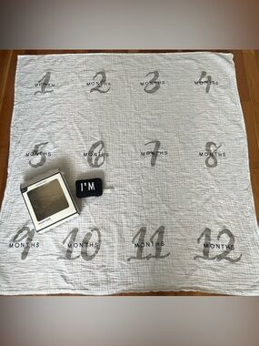 Pottery Barn Milestone Blanket + Mini Pillow